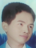 大树好