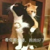 哒哒哒
