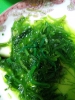 阿白