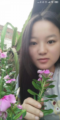 紫萱彩霞
