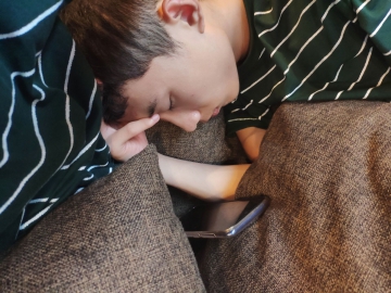 杨志