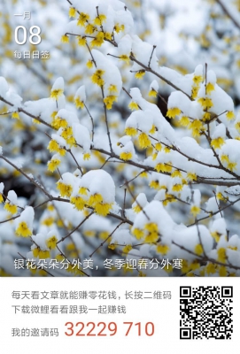 我想我是海