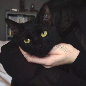 玖歌