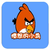 皮特