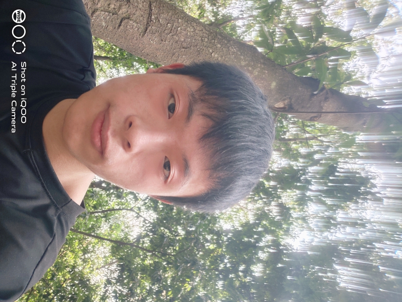世界哪有真情