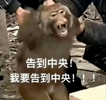 顺其自然